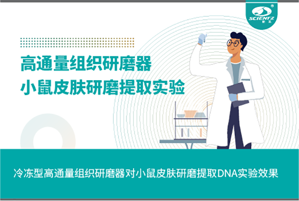 冷凍型高通量組織研磨器對小鼠皮膚研磨提取DNA實驗效果